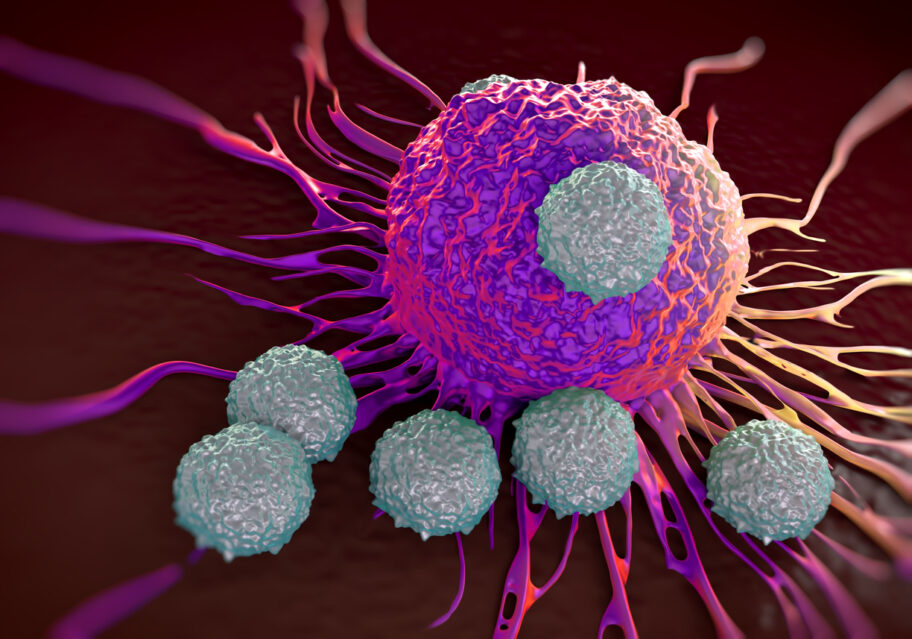 T-cells